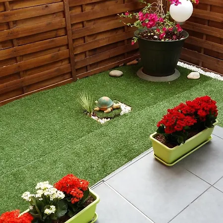 T1 Lavandou La Faviere En Rez De Jardin Bord De *